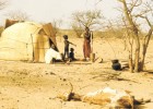 Socio-economic consequences of desertification | Recurso educativo 744920