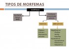 TIPOS DE MORFEMAS | Recurso educativo 745279