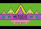 Mitosis: Splitting Up is Complicated | Recurso educativo 745474