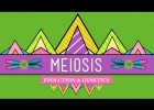 Meiosis: Where the Sex Starts - Crash Course Biology #13 | Recurso educativo 745475