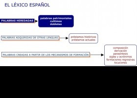 La formación del léxico | Recurso educativo 745756