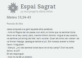 Mateu 13,24-43 | Espai Sagrat | Recurso educativo 748220