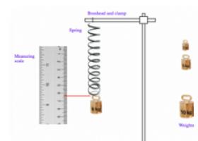 Verification of Hooke's Law (Simulator) : Class 10 : Physics : C-DAC Online | Recurso educativo 749915