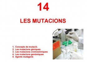 Les mutacions | Recurso educativo 750562