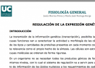 Regulación de la expresión genética | Recurso educativo 752210