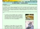 El aparato excretor | Recurso educativo 752861