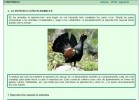 Reproducción en animales | Recurso educativo 752948