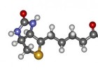 Base de dades visual de molècules | Recurso educativo 754475