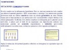 Tipos de mutaciones | Recurso educativo 756122