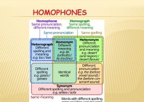 MYEX3  HOMOPHONES 1 EX  SM | Recurso educativo 763713