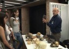 El llarg camí de l'Evolució Humana | Recurso educativo 764170