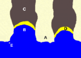 Coasts - Coastal Erosion Landforms | Recurso educativo 733379