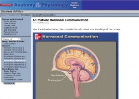 Hormonal Communication | Recurso educativo 732667