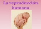 REPRODUCCIÓN HUMANA.pptx | Recurso educativo 768504