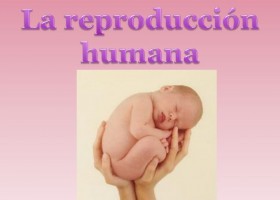 REPRODUCCIÓN HUMANA.pptx | Recurso educativo 768506