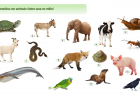 Animais con c e q | Recurso educativo 768853