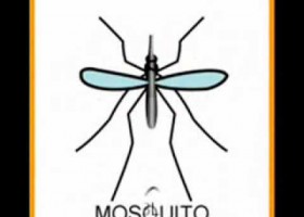 A canción do mosquito | Recurso educativo 769639