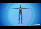 LOS SISTEMAS DEL CUERPO HUMANO | Recurso educativo 772605