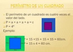 Perimetro | Recurso educativo 778498