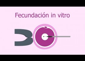 Fecundació in vitro | Recurso educativo 786085