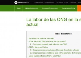 O labor das ONG na sociedade actual | Recurso educativo 786263