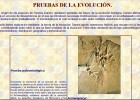 Probas da evolución | Recurso educativo 786359