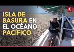 Isla de la basura al Pacífico | Recurso educativo 788362