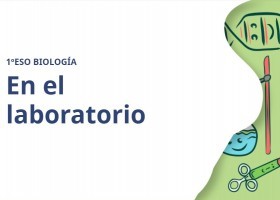 En el laboratori • 1r ESO • Biologia | Recurso educativo 789674